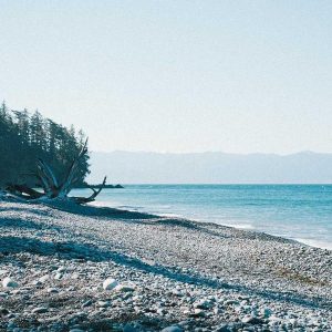 Портрет на старец